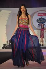 at Nisha Jamwal fashion show for IPL in Marriott, Pune on 9th May 2012 (62).JPG